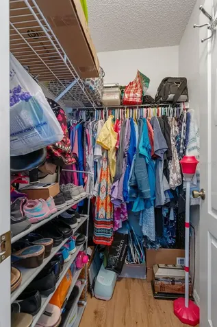 4312 Bayridge Court Spring Hill FL 34606