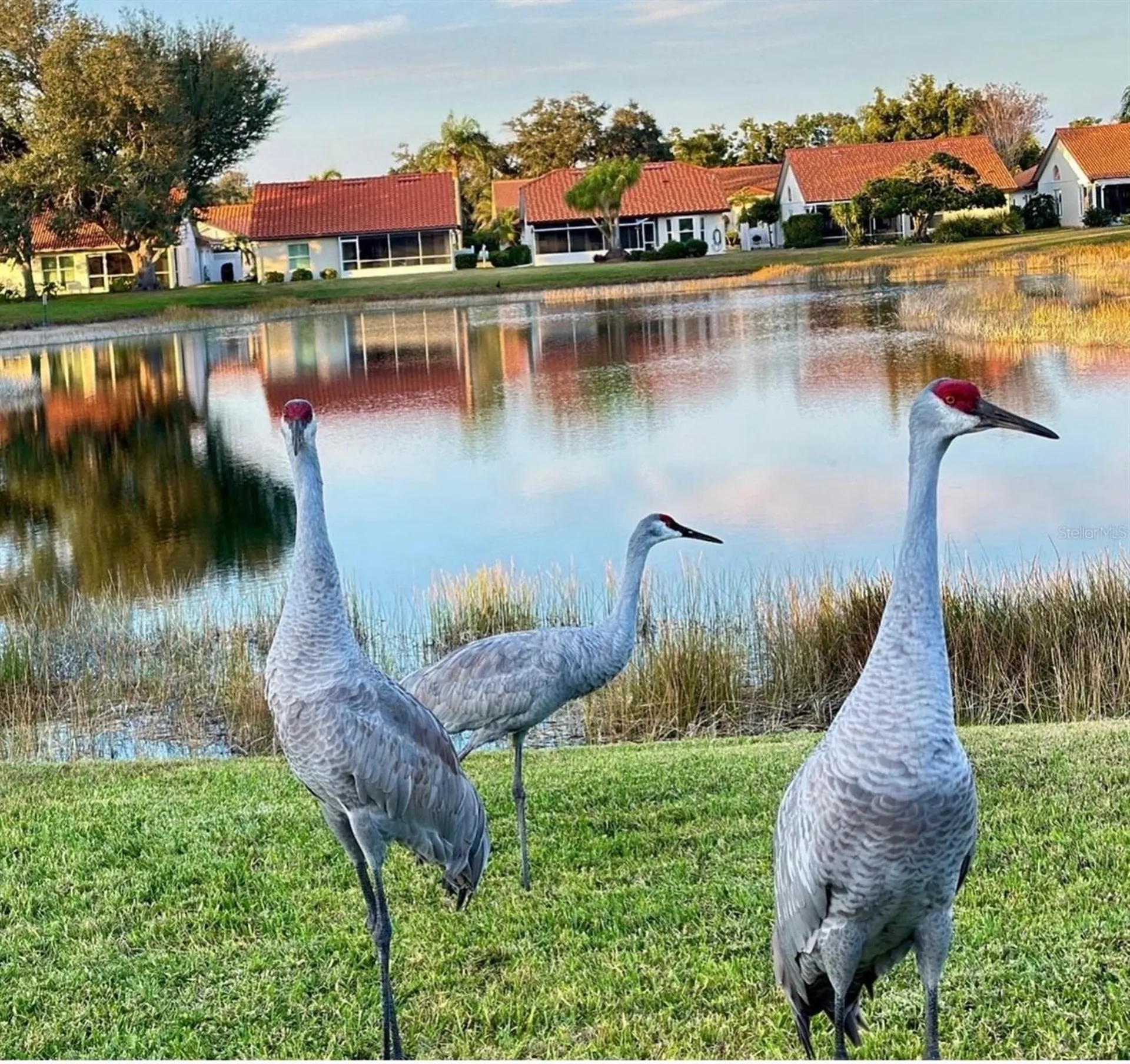 4935 Pepperwood Place Venice FL 34293