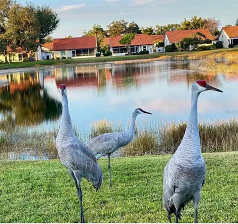 4935 Pepperwood Place Venice FL 34293