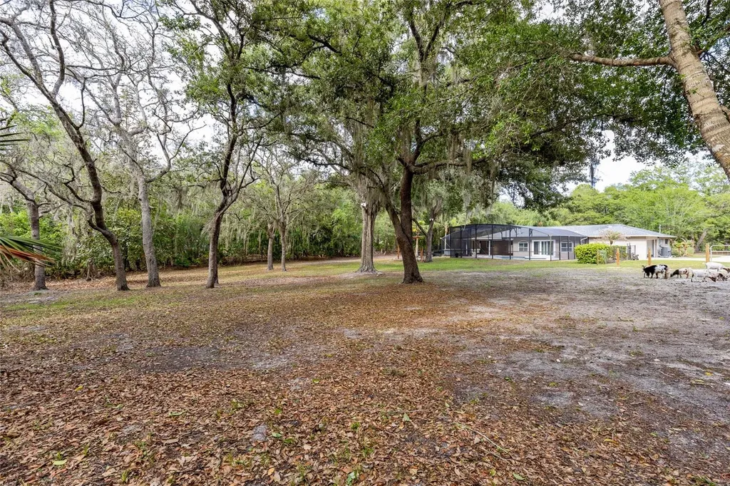 330 Hayes Road Winter Springs FL 32708