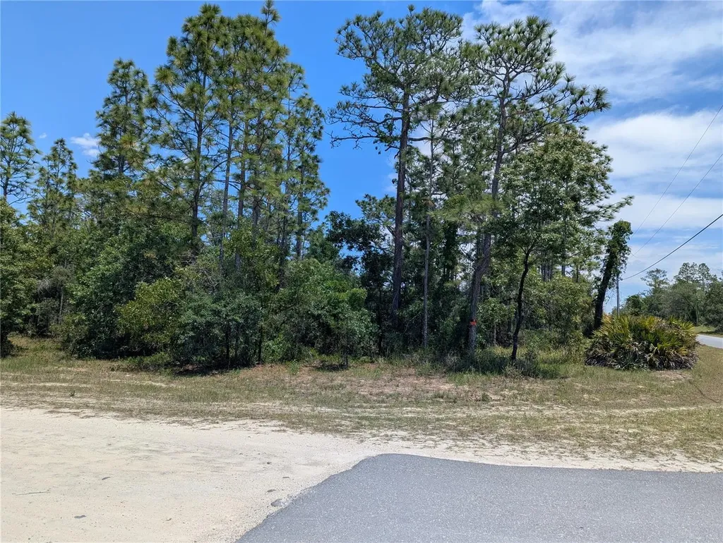 0 Ibis Road Brooksville FL 34614