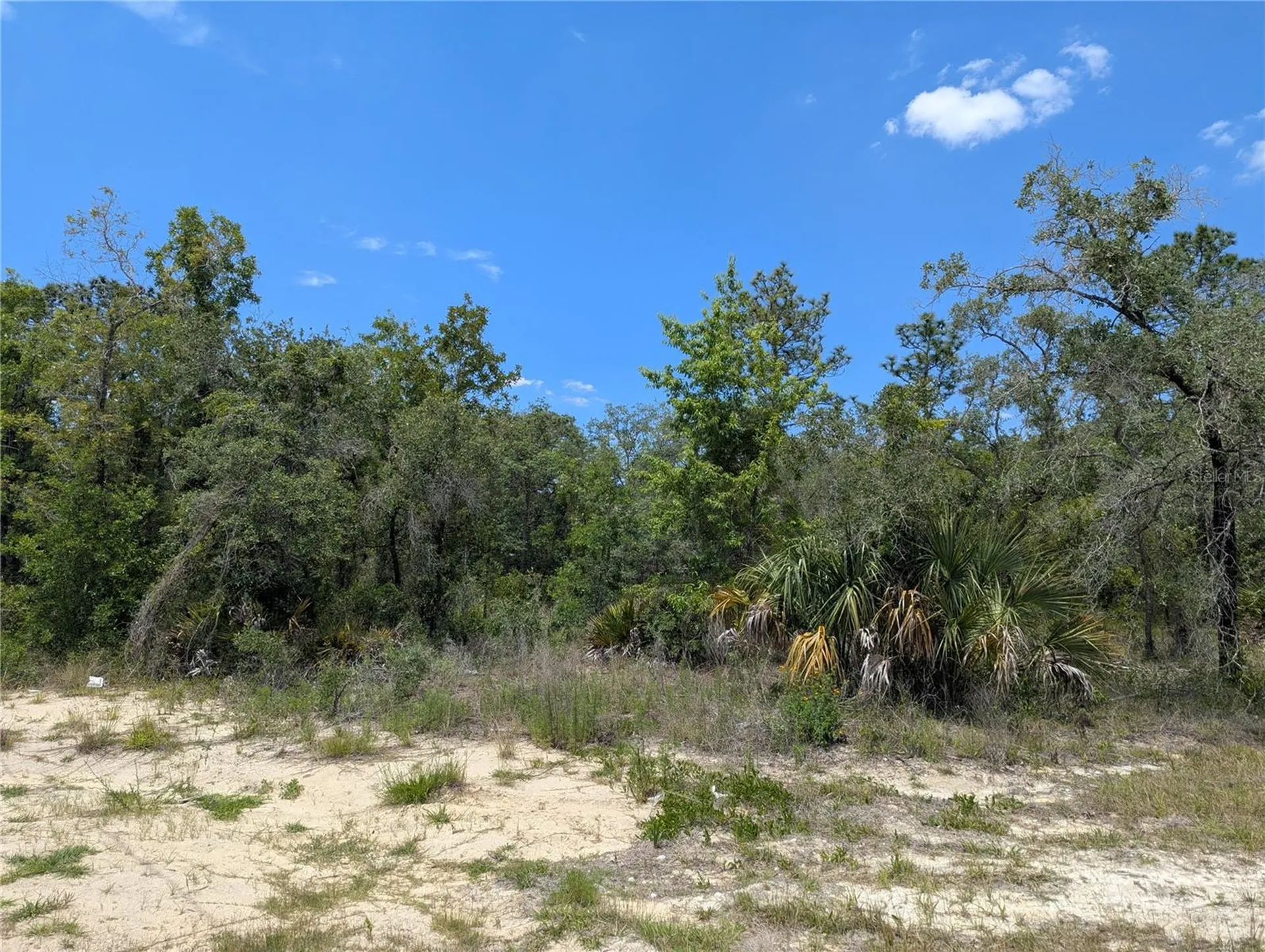 0 Ibis Road Brooksville FL 34614