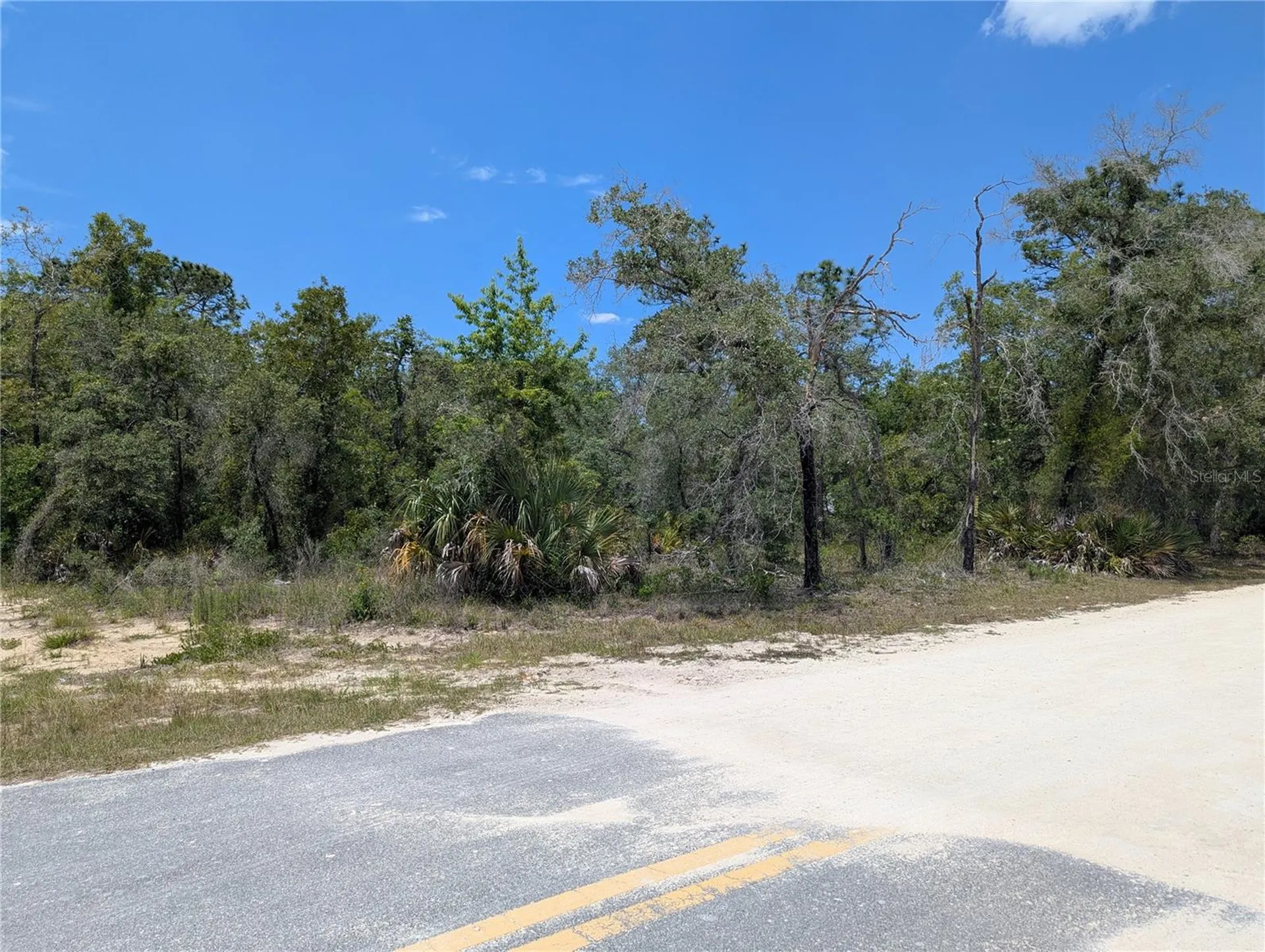 0 Ibis Road Brooksville FL 34614