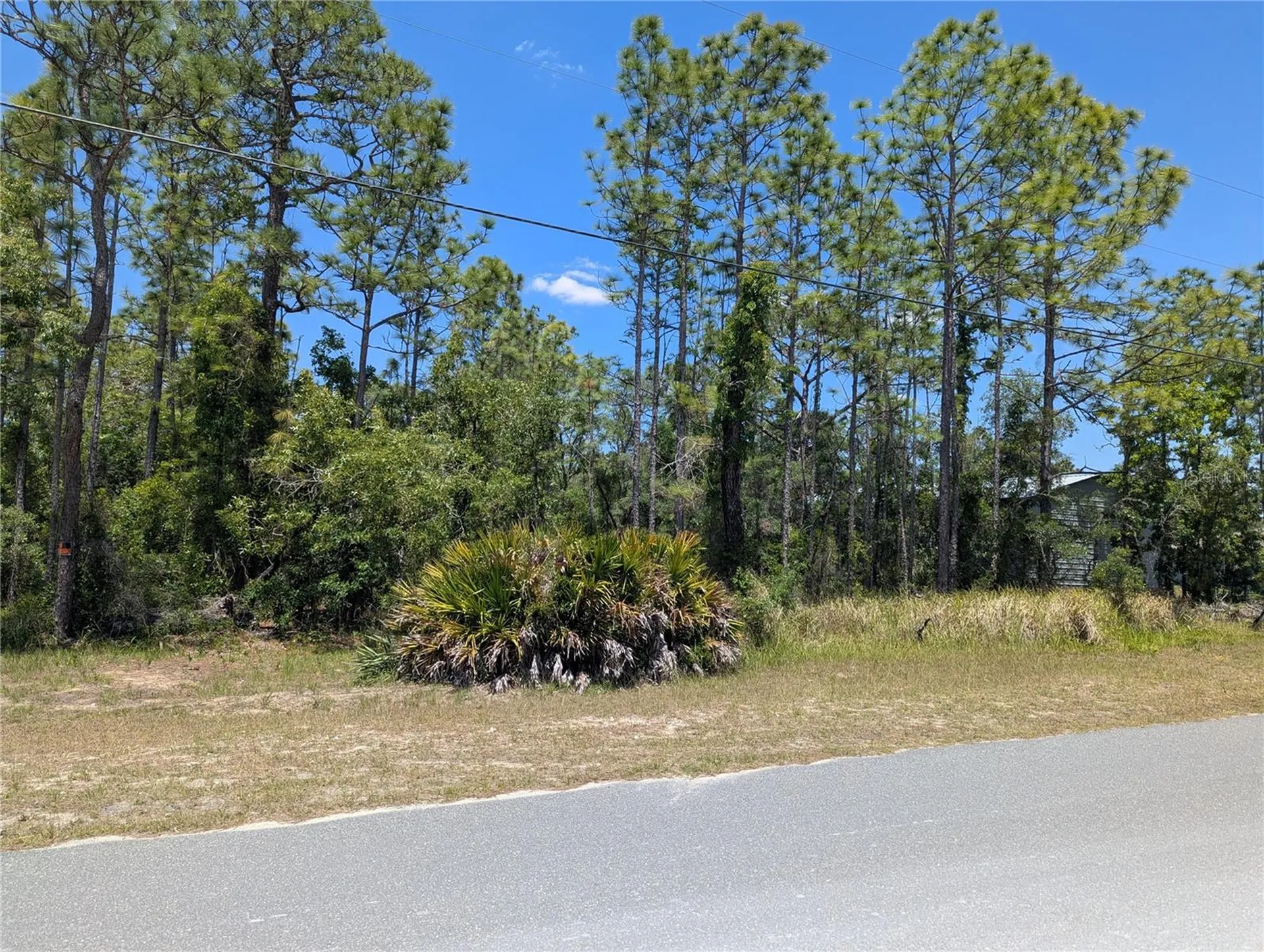 0 Ibis Road Brooksville FL 34614
