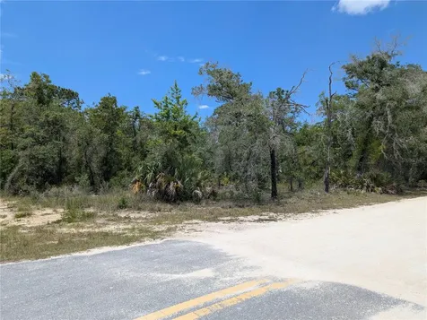 0 Ibis Road Brooksville FL 34614