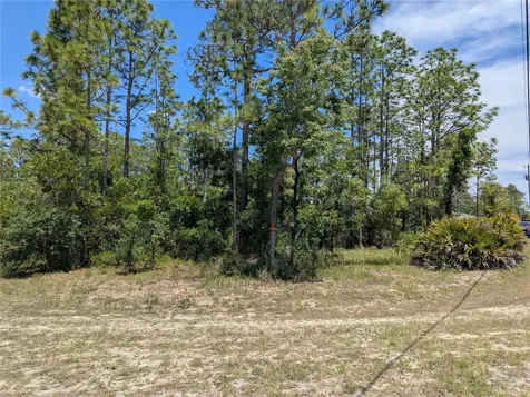 0 Ibis Road Brooksville FL 34614