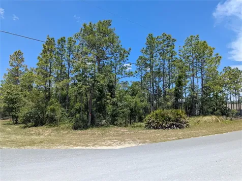 0 Ibis Road Brooksville FL 34614