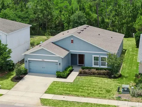 17660 Passionflower Circle Clermont FL 34714