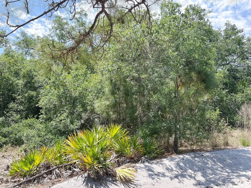 Lot 25 Hamer Terrace North Port FL 34291