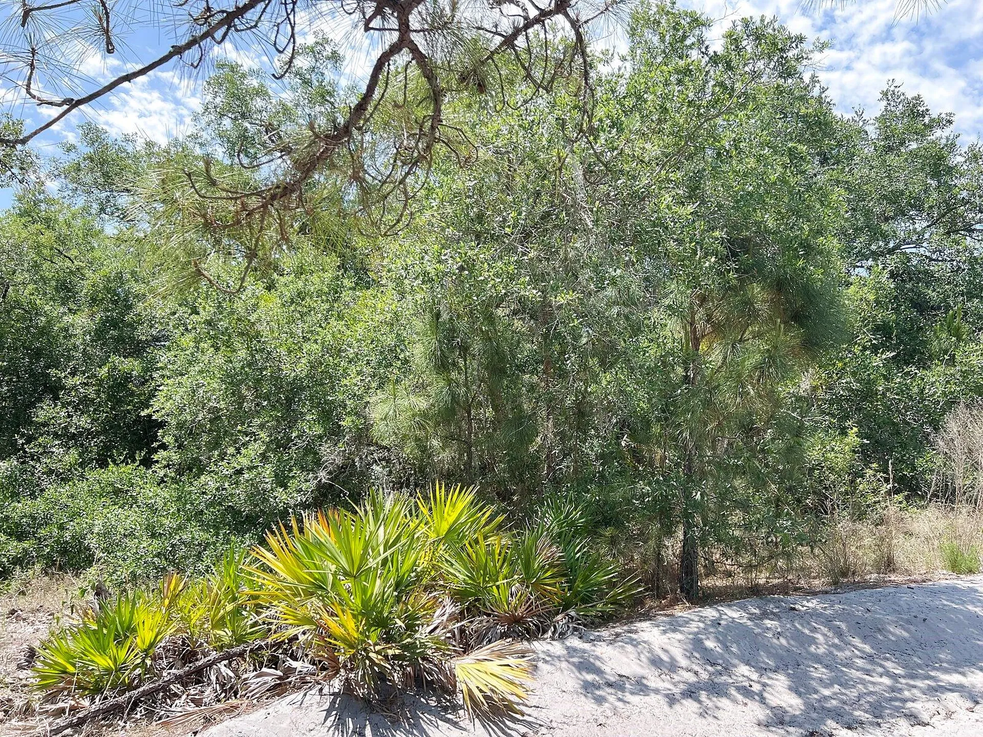 Lot 25 Hamer Terrace North Port FL 34291