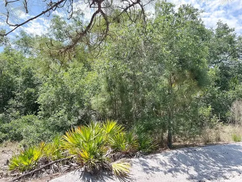 Lot 25 Hamer Terrace North Port FL 34291
