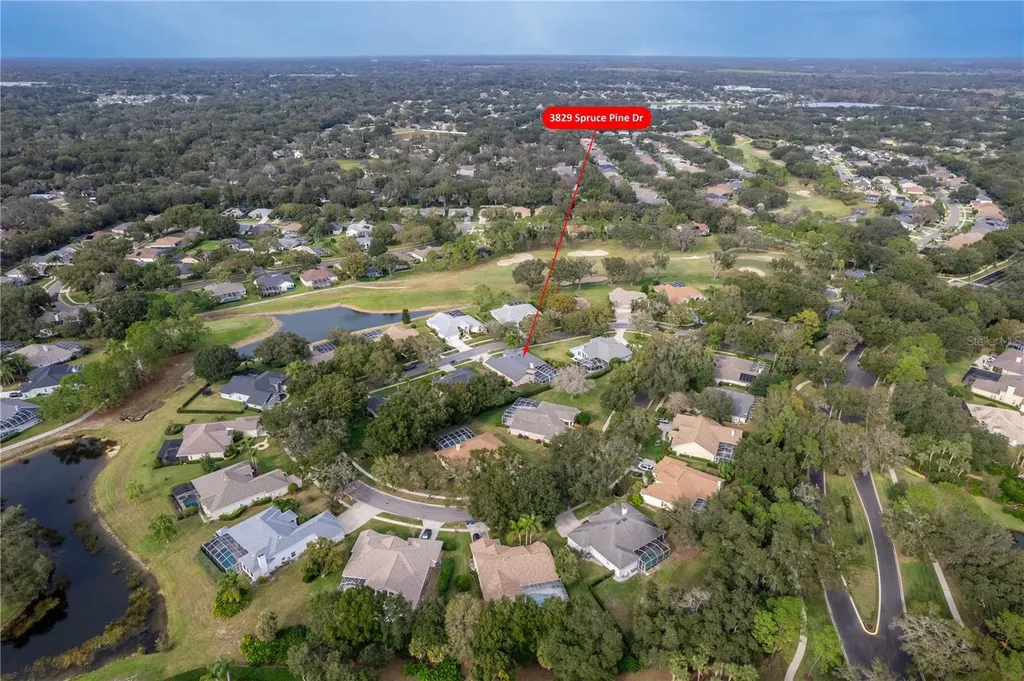 3829 Spruce Pine Drive Valrico FL 33596