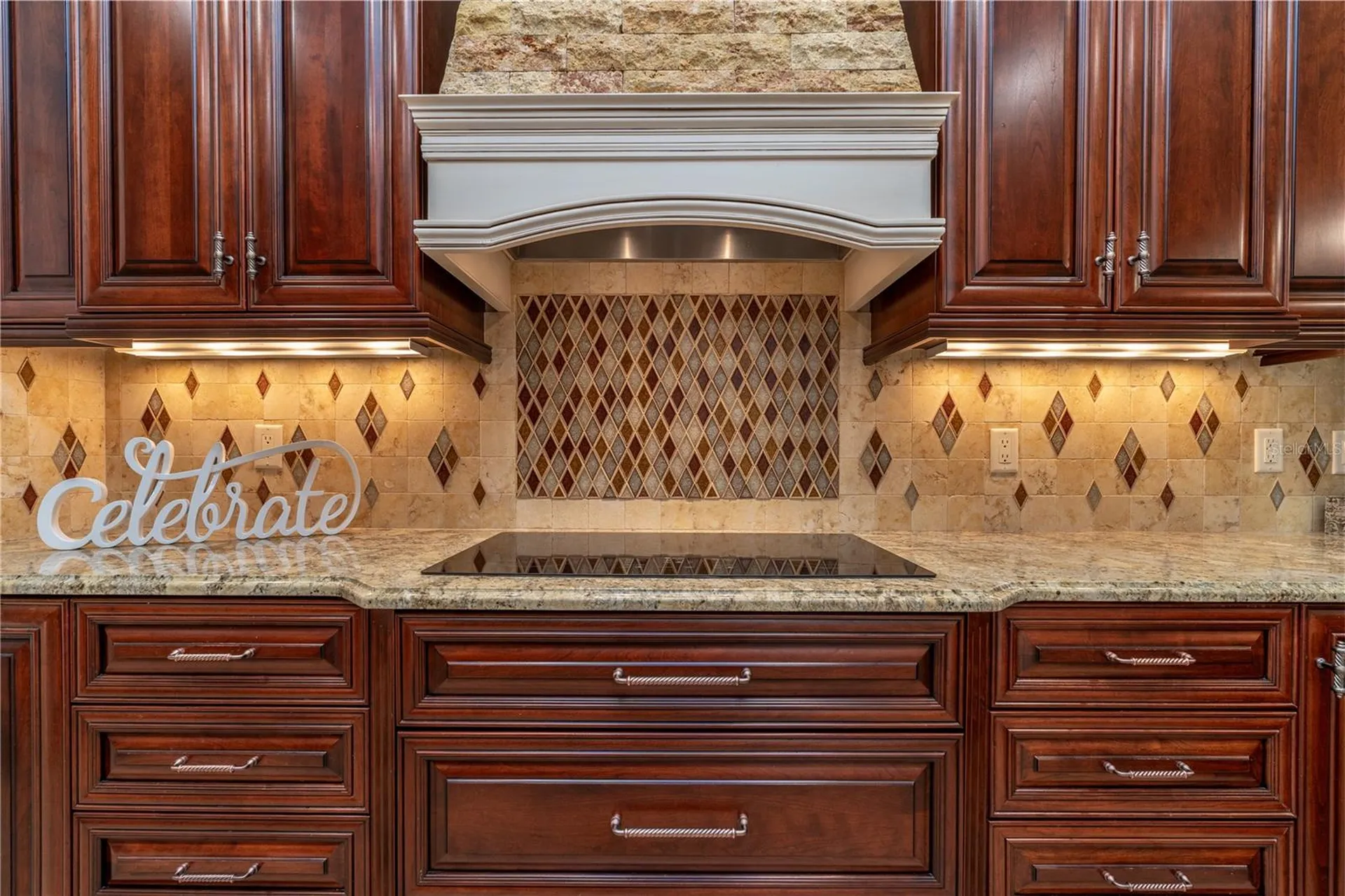 3829 Spruce Pine Drive Valrico FL 33596