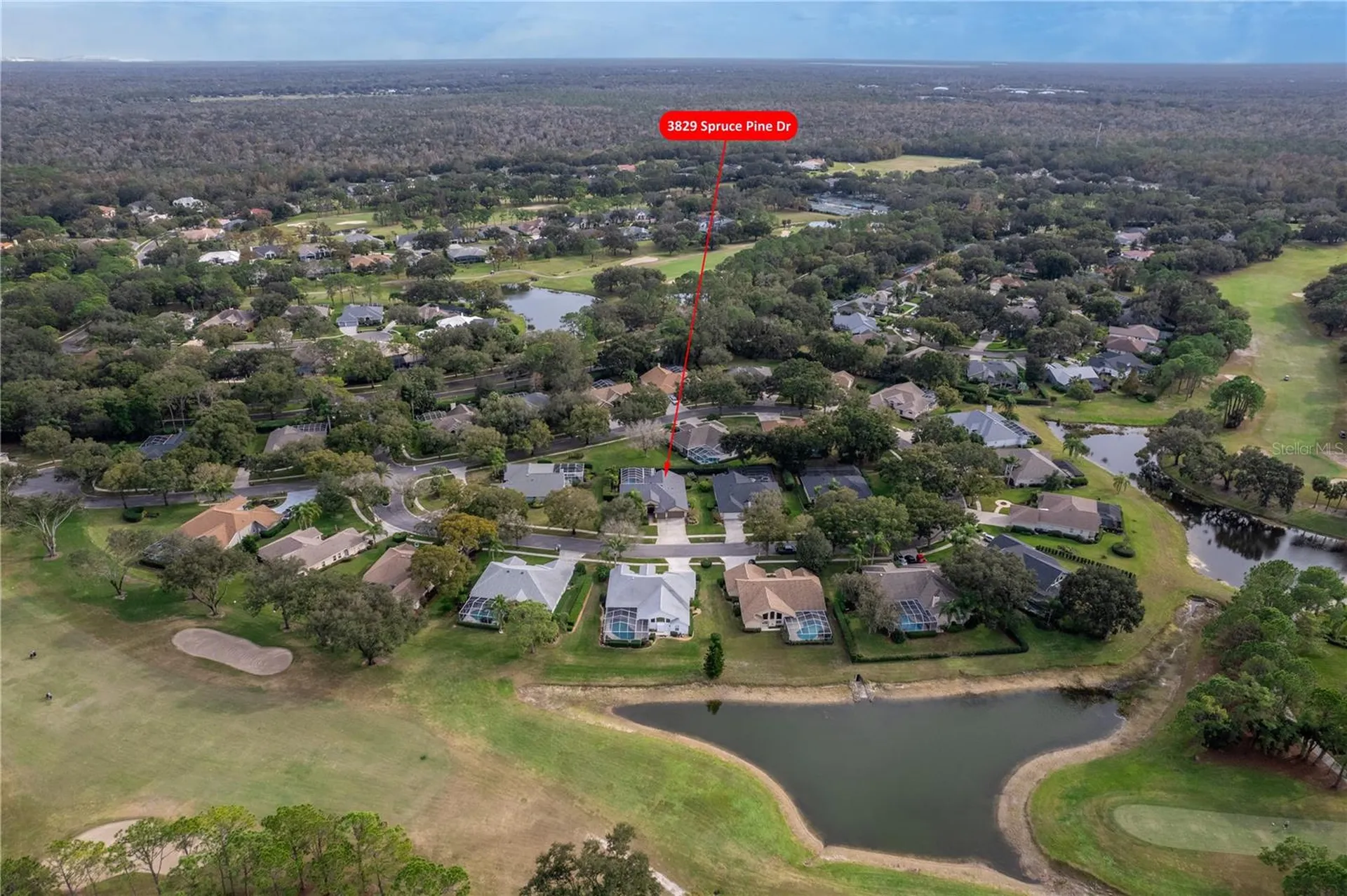 3829 Spruce Pine Drive Valrico FL 33596