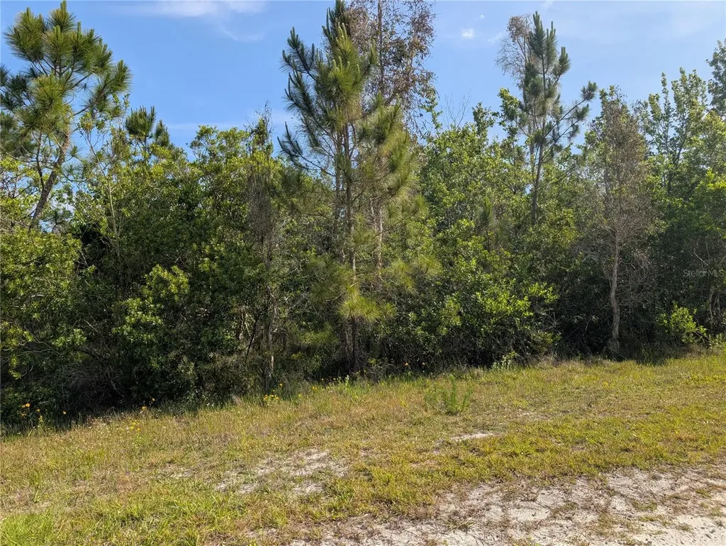 704 Orchid Drive Indian Lake Estates FL 33855