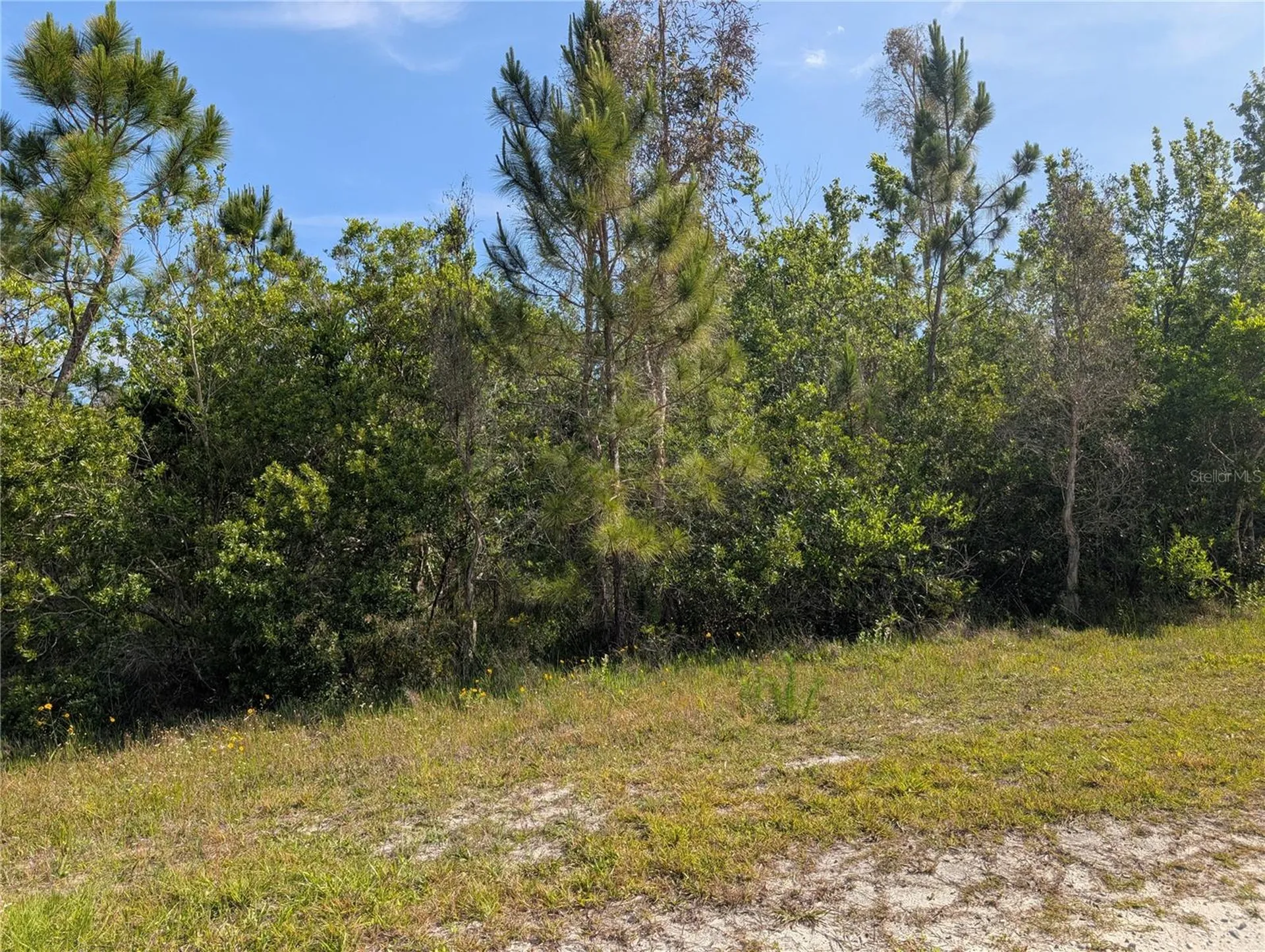 704 Orchid Drive Indian Lake Estates FL 33855