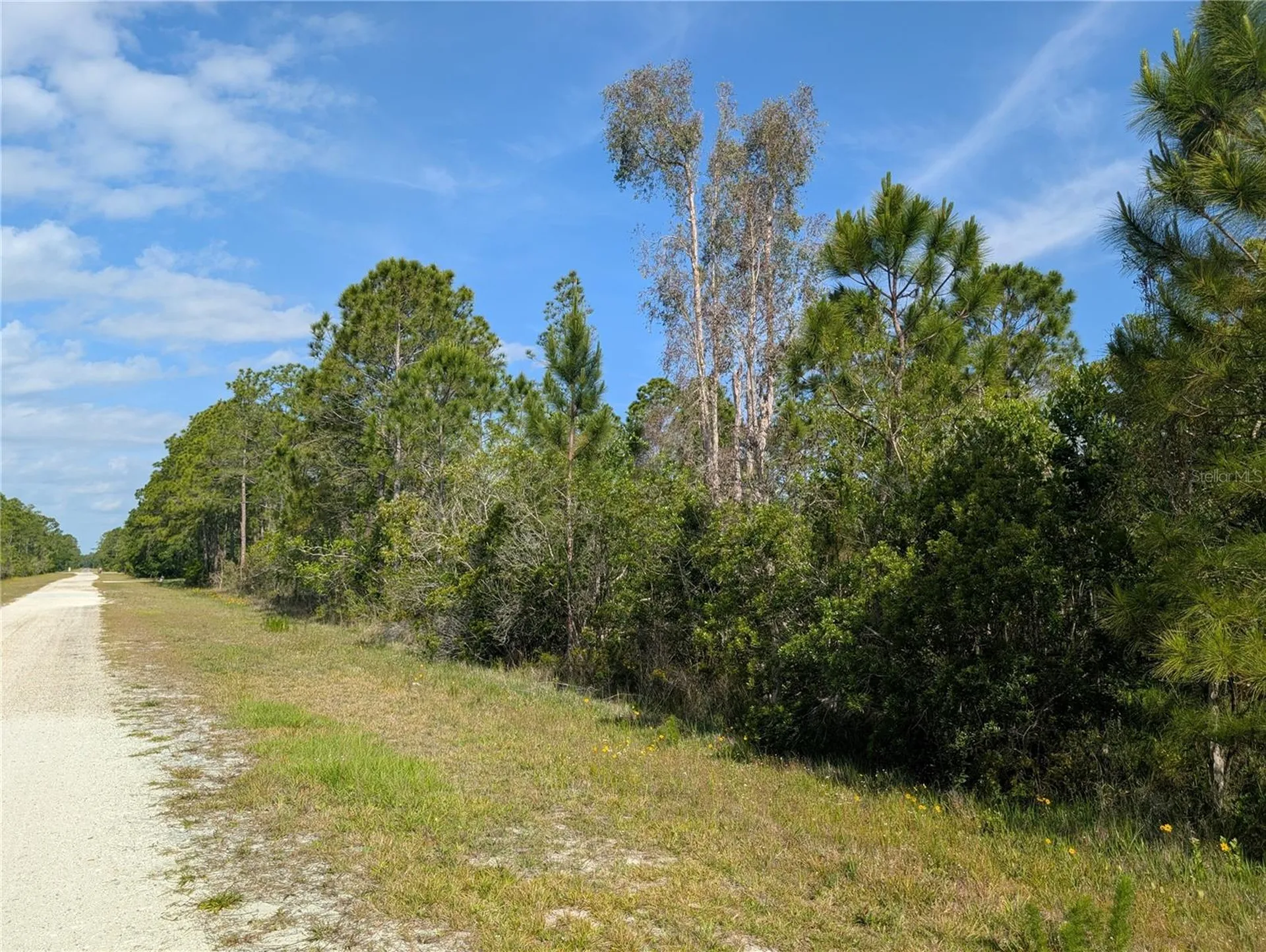 704 Orchid Drive Indian Lake Estates FL 33855