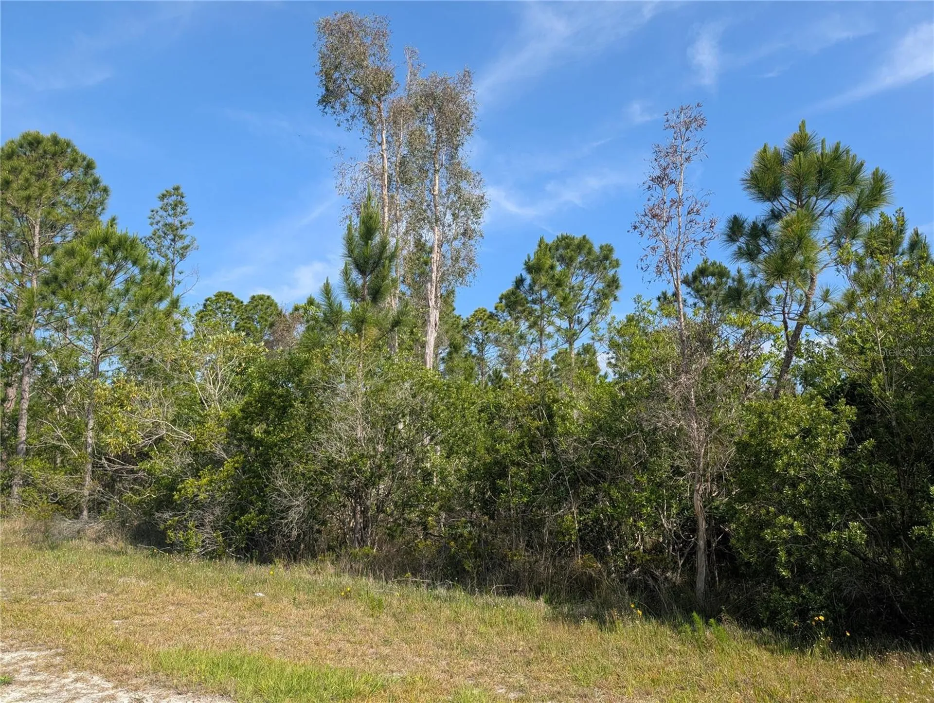 704 Orchid Drive Indian Lake Estates FL 33855