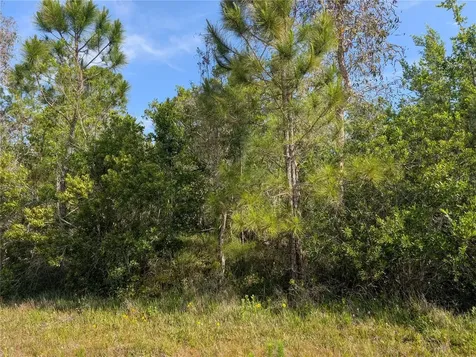 704 Orchid Drive Indian Lake Estates FL 33855