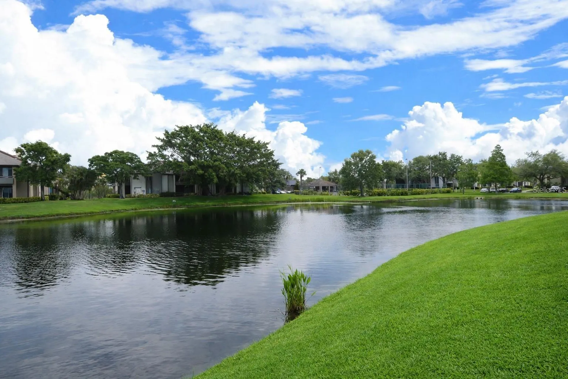 10265 Gandy Boulevard N St Petersburg FL 33702