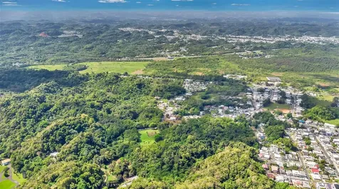 Km 3.6 695 Dorado PR 00646