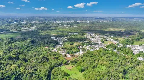 Km 3.6 695 Dorado PR 00646
