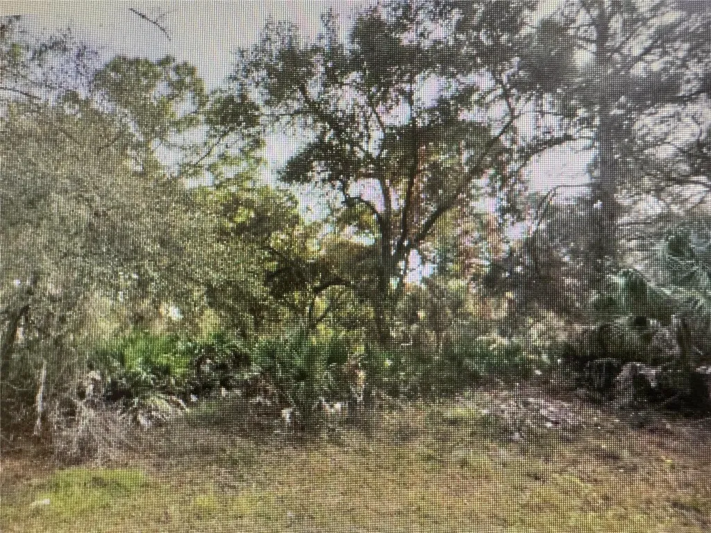 Trolley Road North Port FL 34291