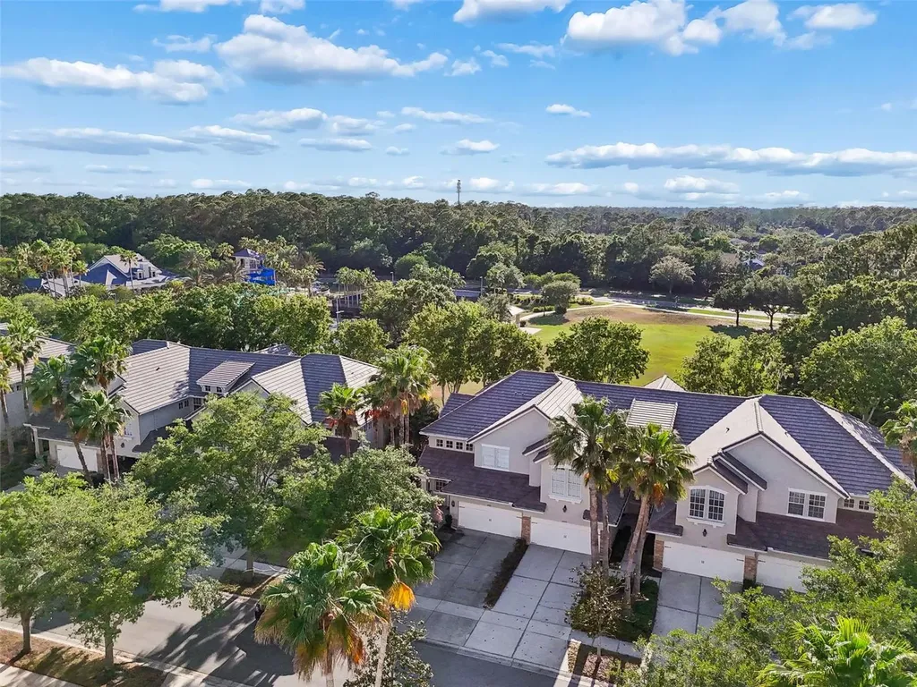 14413 Mirabelle Vista Circle Tampa FL 33626