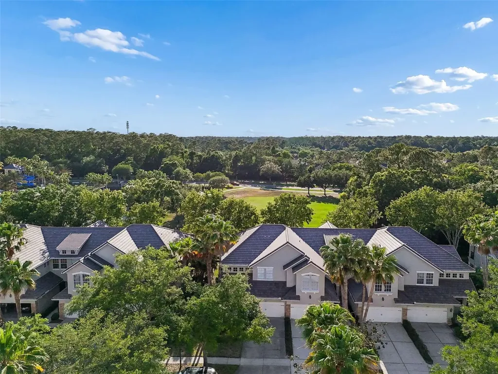 14413 Mirabelle Vista Circle Tampa FL 33626