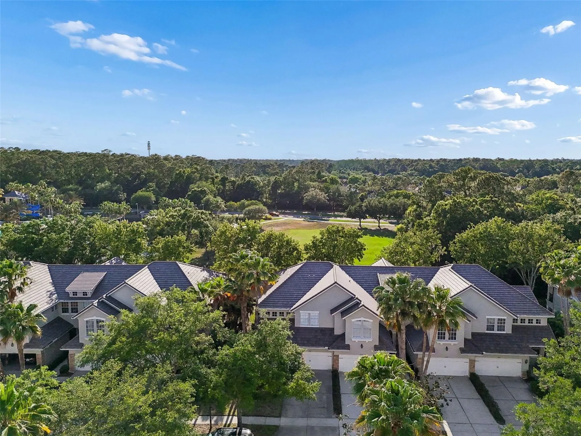 14413 Mirabelle Vista Circle Tampa FL 33626