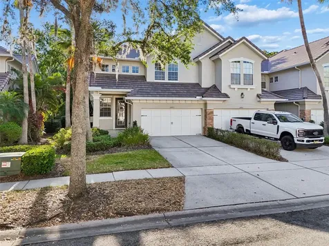 14413 Mirabelle Vista Circle Tampa FL 33626