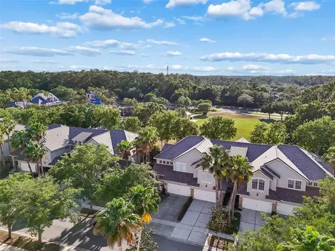 14413 Mirabelle Vista Circle Tampa FL 33626