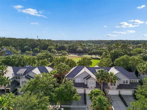 14413 Mirabelle Vista Circle Tampa FL 33626
