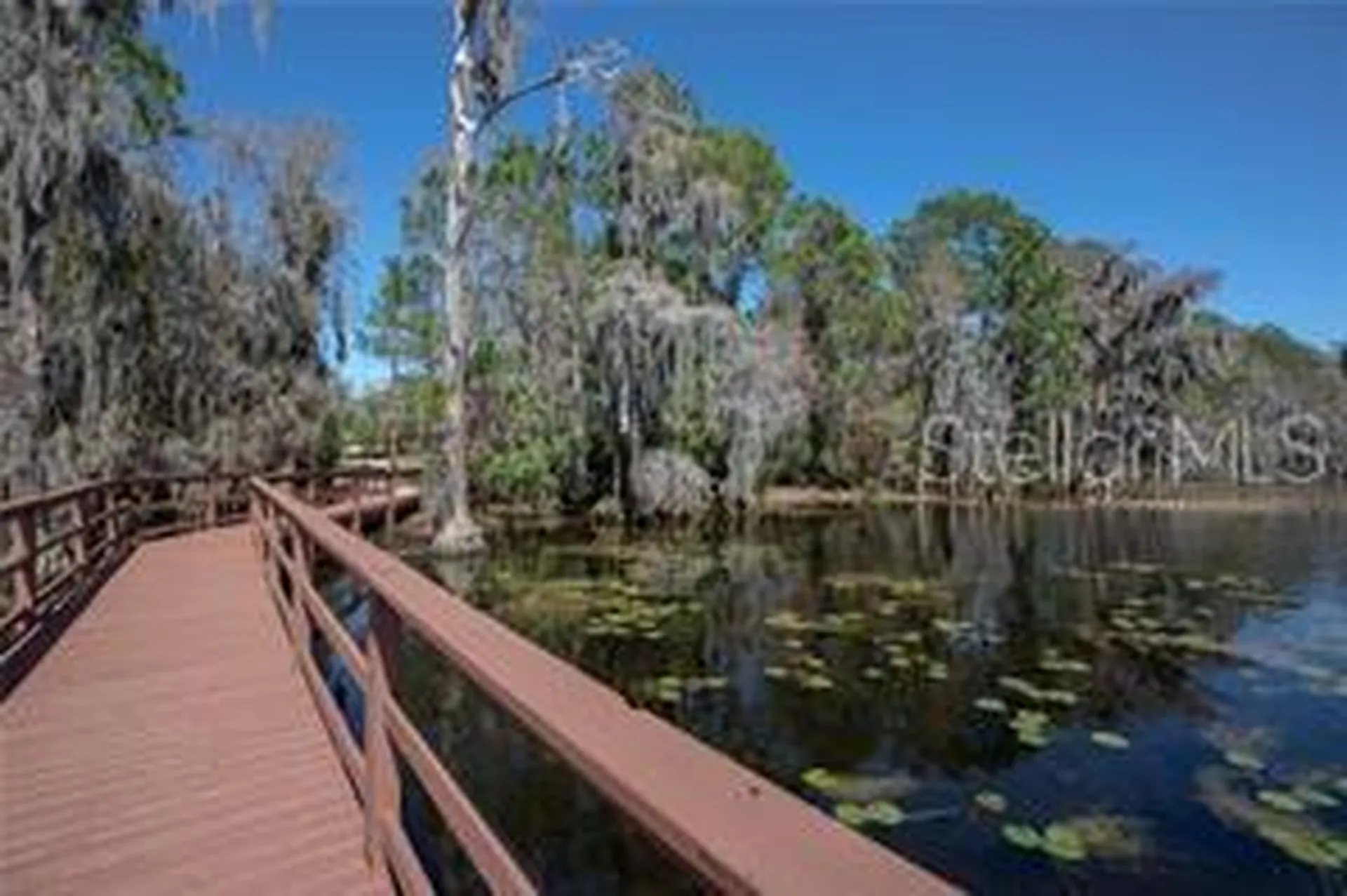 7996 Edgewood Forest Drive Orlando FL 32827