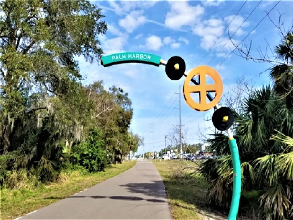 308 Hammock Drive Palm Harbor FL 34683