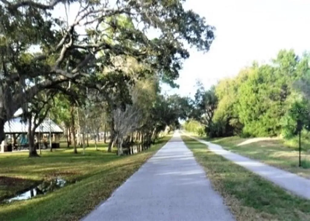 308 Hammock Drive Palm Harbor FL 34683