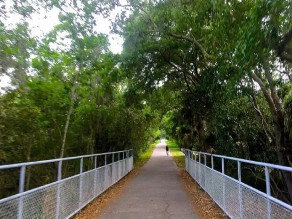 308 Hammock Drive Palm Harbor FL 34683