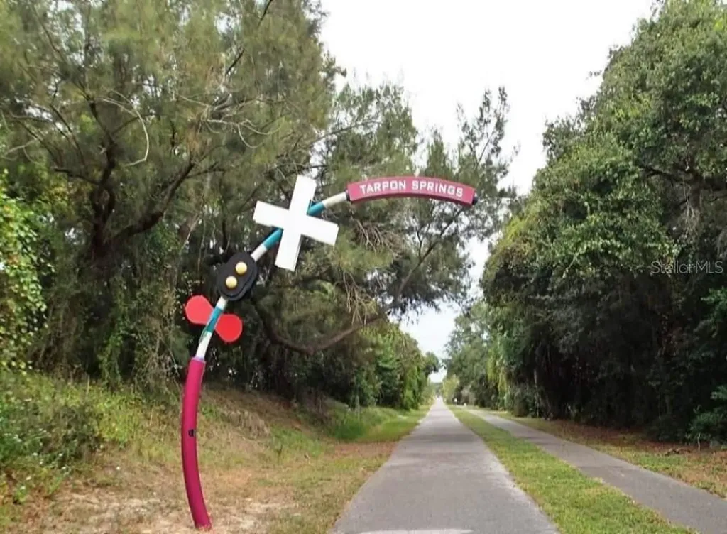 308 Hammock Drive Palm Harbor FL 34683