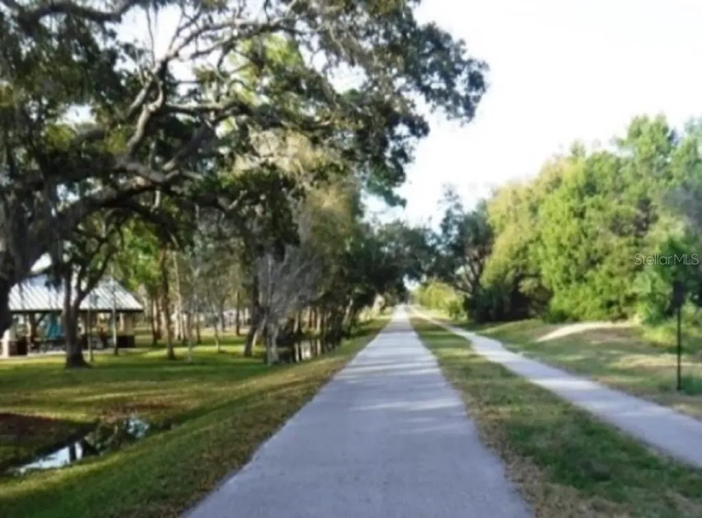 308 Hammock Drive Palm Harbor FL 34683