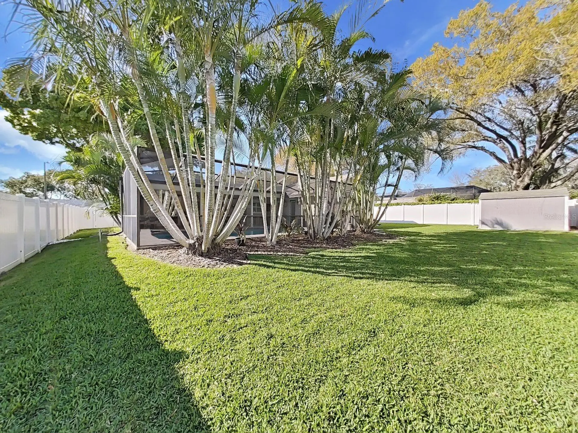 308 Hammock Drive Palm Harbor FL 34683