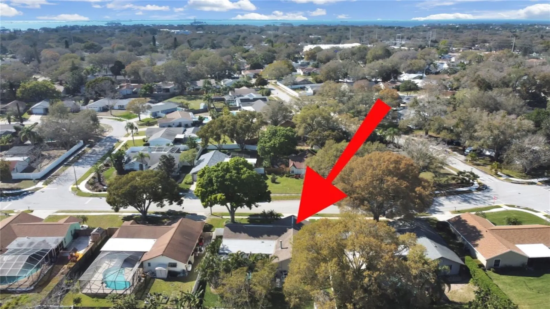 308 Hammock Drive Palm Harbor FL 34683