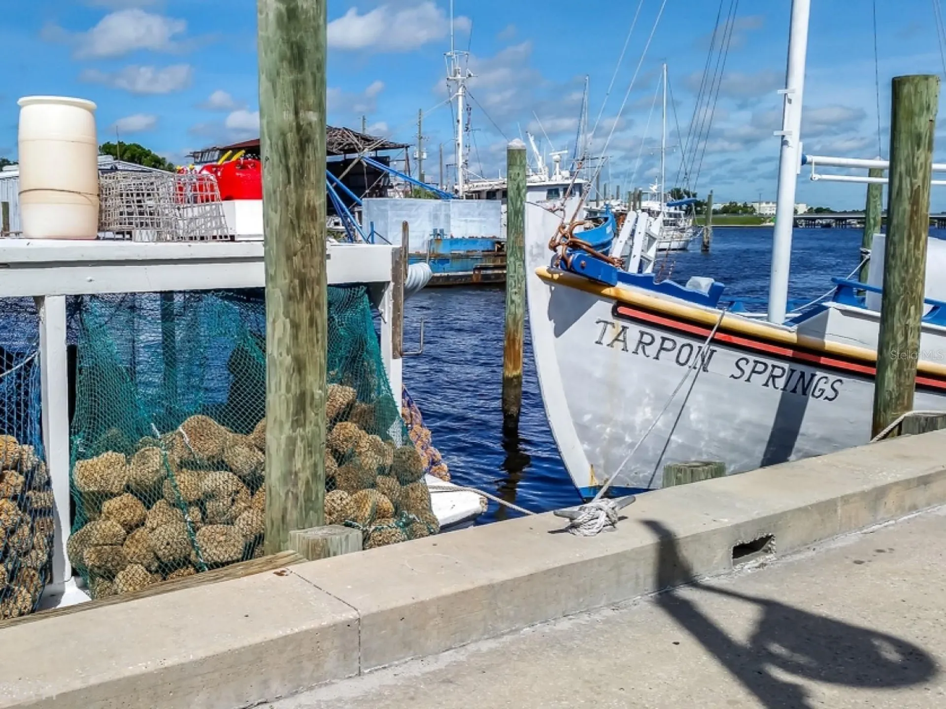 308 Hammock Drive Palm Harbor FL 34683