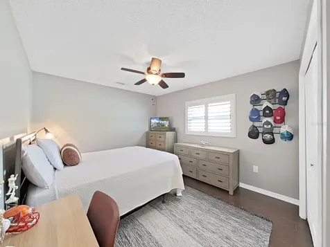 308 Hammock Drive Palm Harbor FL 34683