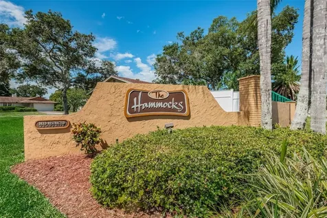 308 Hammock Drive Palm Harbor FL 34683