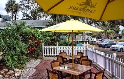 308 Hammock Drive Palm Harbor FL 34683