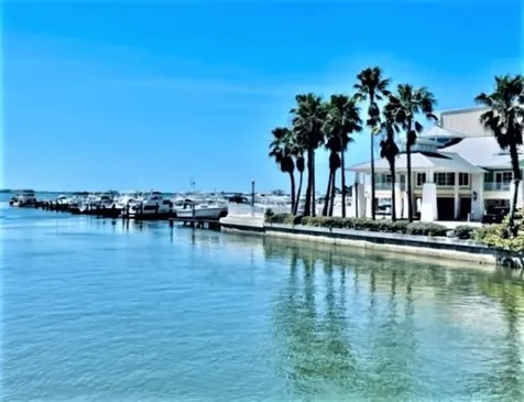 308 Hammock Drive Palm Harbor FL 34683