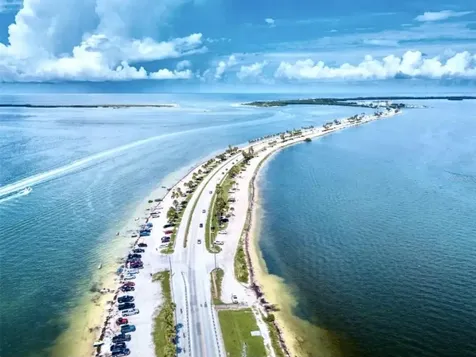 308 Hammock Drive Palm Harbor FL 34683