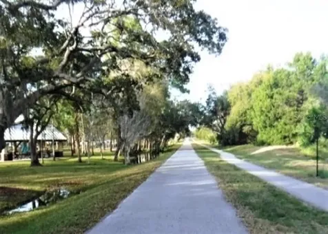 308 Hammock Drive Palm Harbor FL 34683