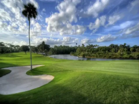 308 Hammock Drive Palm Harbor FL 34683