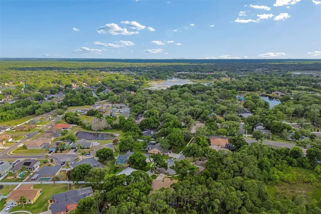 1661 Woodridge Court Lutz FL 33559